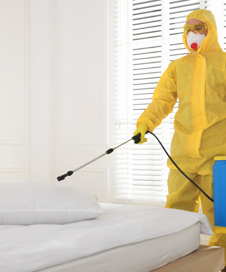 Professional Pest Control Team in Elizabeth South